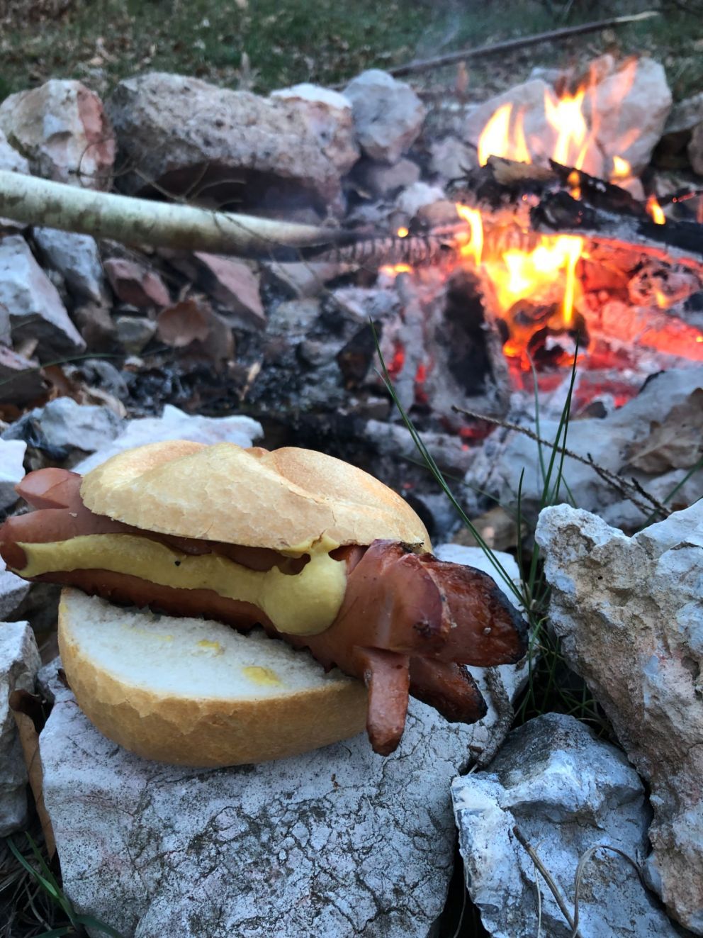 Wildcampen und Lagerfeuer sind nicht erlaubt im Donautal!